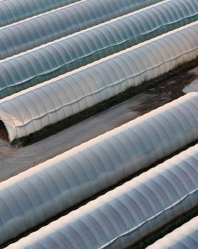 ca16a3b8d9c198bbf4e4eec3bfebf7b9