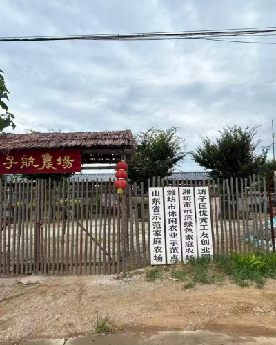 潍坊坊子区子航农场智慧蔬菜种植基地