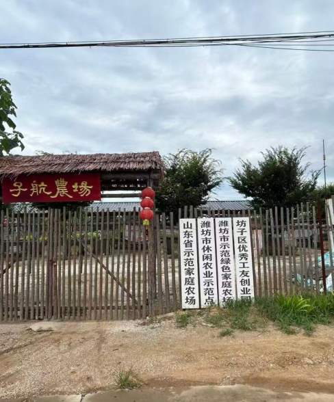 潍坊坊子区子航农场智慧蔬菜种植基地