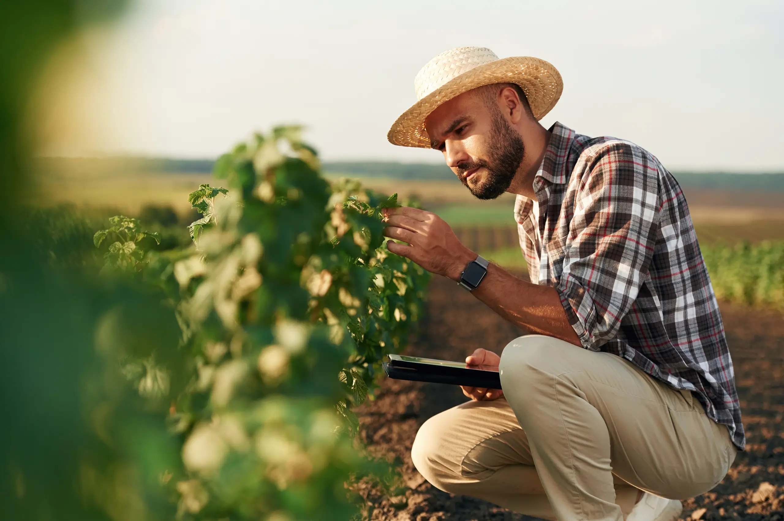 山东有农信息科技有限公司